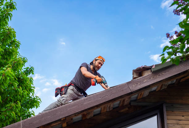 Best Gutter Installation and Repair  in Waipio, HI